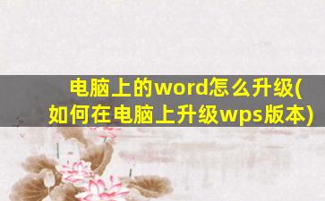 电脑上的word怎么升级(如何在电脑上升级wps版本)