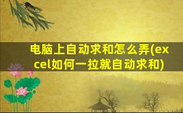 电脑上自动求和怎么弄(excel如何一拉就自动求和)