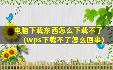 电脑下载东西怎么下载不了(wps下载不了怎么回事)