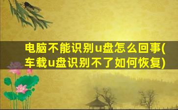 电脑不能识别u盘怎么回事(车载u盘识别不了如何恢复)