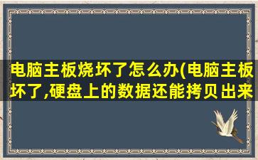 电脑主板烧坏了怎么办(电脑主板坏了,硬盘上的数据还能拷贝出来吗)