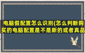 电脑假配置怎么识别(怎么判断购买的电脑配置是不是新的或者真品)