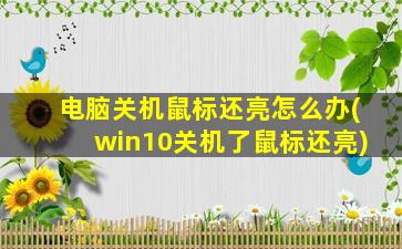 电脑关机鼠标还亮怎么办(win10关机了鼠标还亮)