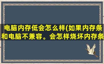 电脑内存低会怎么样(如果内存条和电脑不兼容。会怎样烧坏内存条吗)