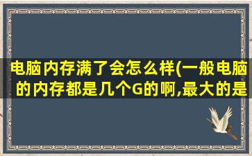 电脑内存满了会怎么样(一般电脑的内存都是几个G的啊,最大的是多少啊)