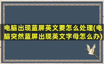 电脑出现蓝屏英文要怎么处理(电脑突然蓝屏出现英文字母怎么办)