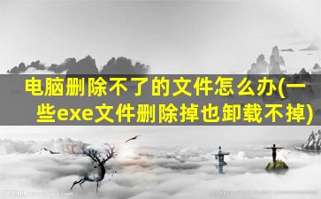 电脑删除不了的文件怎么办(一些exe文件删除掉也卸载不掉)