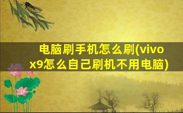 电脑刷手机怎么刷(vivox9怎么自己刷机不用电脑)