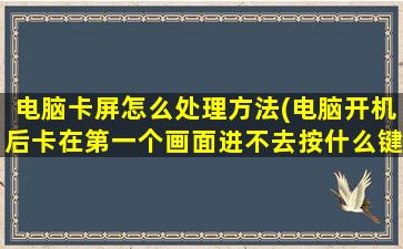 电脑卡屏怎么处理方法(电脑开机后卡在第一个画面进不去按什么键都没有用)