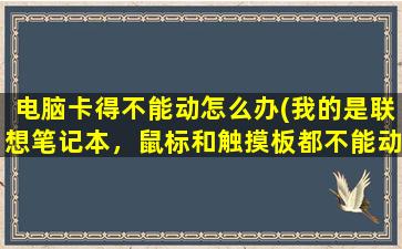 电脑卡得不能动怎么办(我的是联想笔记本，鼠标和触摸板都不能动了，该怎么办)