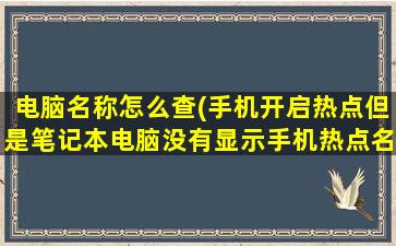 电脑名称怎么查(手机开启热点但是笔记本电脑没有显示手机热点名称怎么调试谢谢)