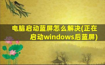 电脑启动蓝屏怎么解决(正在启动windows后蓝屏)