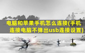 电脑和苹果手机怎么连接(手机连接电脑不弹出usb连接设置)