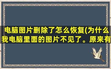 电脑图片删除了怎么恢复(为什么我电脑里面的图片不见了。原来有很多文件夹的。没有删任何东西有人能告诉我是怎么回事嘛)