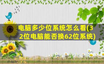 电脑多少位系统怎么看(32位电脑能否换62位系统)