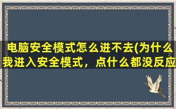 电脑安全模式怎么进不去(为什么我进入安全模式，点什么都没反应，我该怎么修复电脑)