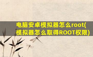 电脑安卓模拟器怎么root(模拟器怎么取得ROOT权限)