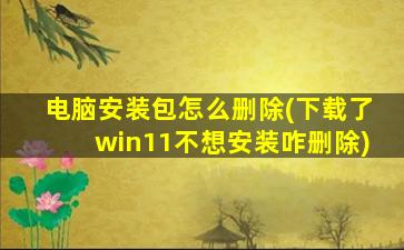 电脑安装包怎么删除(下载了win11不想安装咋删除)