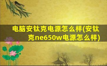 电脑安钛克电源怎么样(安钛克ne650w电源怎么样)