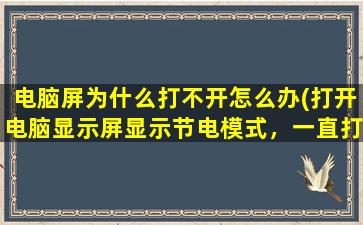 电脑屏为什么打不开怎么办(打开电脑显示屏显示节电模式，一直打不开电脑，大师们怎么搞啊)