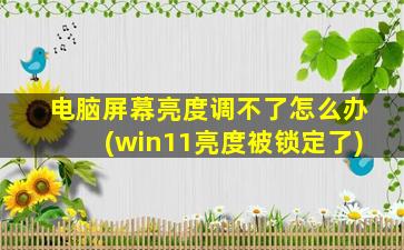 电脑屏幕亮度调不了怎么办(win11亮度被锁定了)