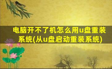 电脑开不了机怎么用u盘重装系统(从u盘启动重装系统)