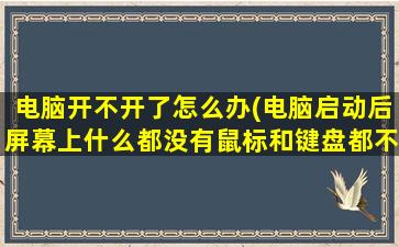 电脑开不开了怎么办(电脑启动后屏幕上什么都没有鼠标和键盘都不亮是什么原因)