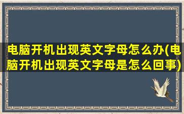 电脑开机出现英文字母怎么办(电脑开机出现英文字母是怎么回事)