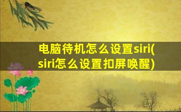 电脑待机怎么设置siri(siri怎么设置扣屏唤醒)