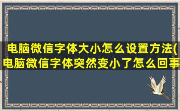 电脑微信字体大小怎么设置方法(电脑微信字体突然变小了怎么回事)