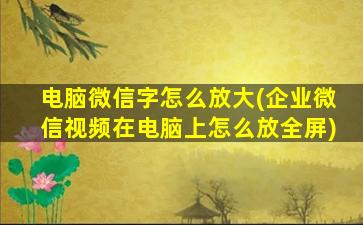 电脑微信字怎么放大(企业微信视频在电脑上怎么放全屏)