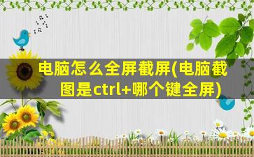 电脑怎么全屏截屏(电脑截图是ctrl+哪个键全屏)