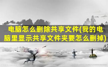 电脑怎么删除共享文件(我的电脑里显示共享文件夹要怎么删掉)