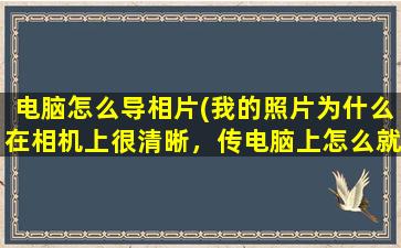 电脑怎么导相片(我的照片为什么在相机上很清晰，传电脑上怎么就变得那么暗呢)