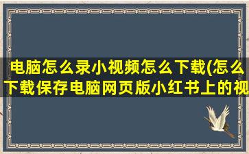 电脑怎么录小视频怎么下载(怎么下载保存电脑网页版小红书上的视频)