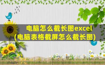 电脑怎么截长图excel(电脑表格截屏怎么截长图)