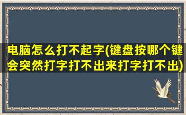 电脑怎么打不起字(键盘按哪个键会突然打字打不出来打字打不出)