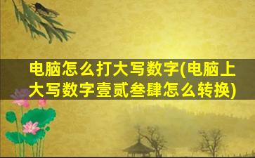 电脑怎么打大写数字(电脑上大写数字壹贰叁肆怎么转换)