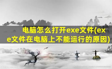 电脑怎么打开exe文件(exe文件在电脑上不能运行的原因)