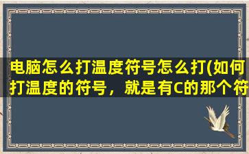 电脑怎么打温度符号怎么打(如何打温度的符号，就是有C的那个符号)