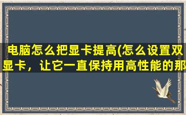 电脑怎么把显卡提高(怎么设置双显卡，让它一直保持用高性能的那个显卡工作和游戏啊)