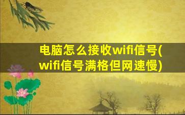 电脑怎么接收wifi信号(wifi信号满格但网速慢)