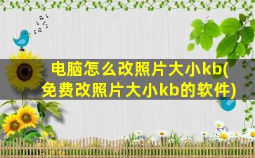 电脑怎么改照片大小kb(免费改照片大小kb的软件)