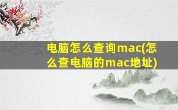 电脑怎么查询mac(怎么查电脑的mac地址)