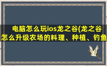 电脑怎么玩ios龙之谷(龙之谷怎么升级农场的料理、种植、钓鱼等级快)