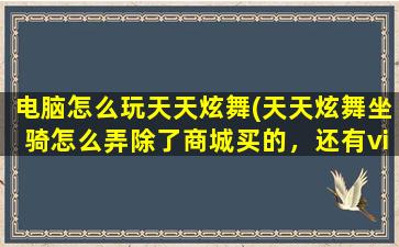 电脑怎么玩天天炫舞(天天炫舞坐骑怎么弄除了商城买的，还有vip送的外，谢谢好心人)