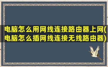 电脑怎么用网线连接路由器上网(电脑怎么插网线连接无线路由器)