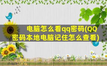 电脑怎么看qq密码(QQ密码本地电脑记住怎么查看)