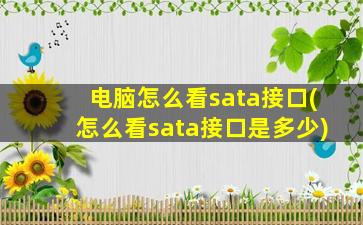 电脑怎么看sata接口(怎么看sata接口是多少)