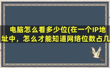 电脑怎么看多少位(在一个IP地址中，怎么才能知道网络位数占几位)